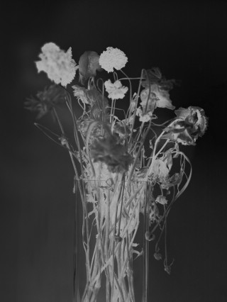 You I Landscape