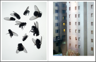 Lichtblick School Cologne | Workshops with Harvey Benge, Markus Schaden and Wolfgang Zurborn