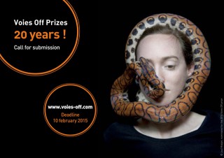 2015 Voies Off Festival | The 20th edition Awards | Call for Submissions