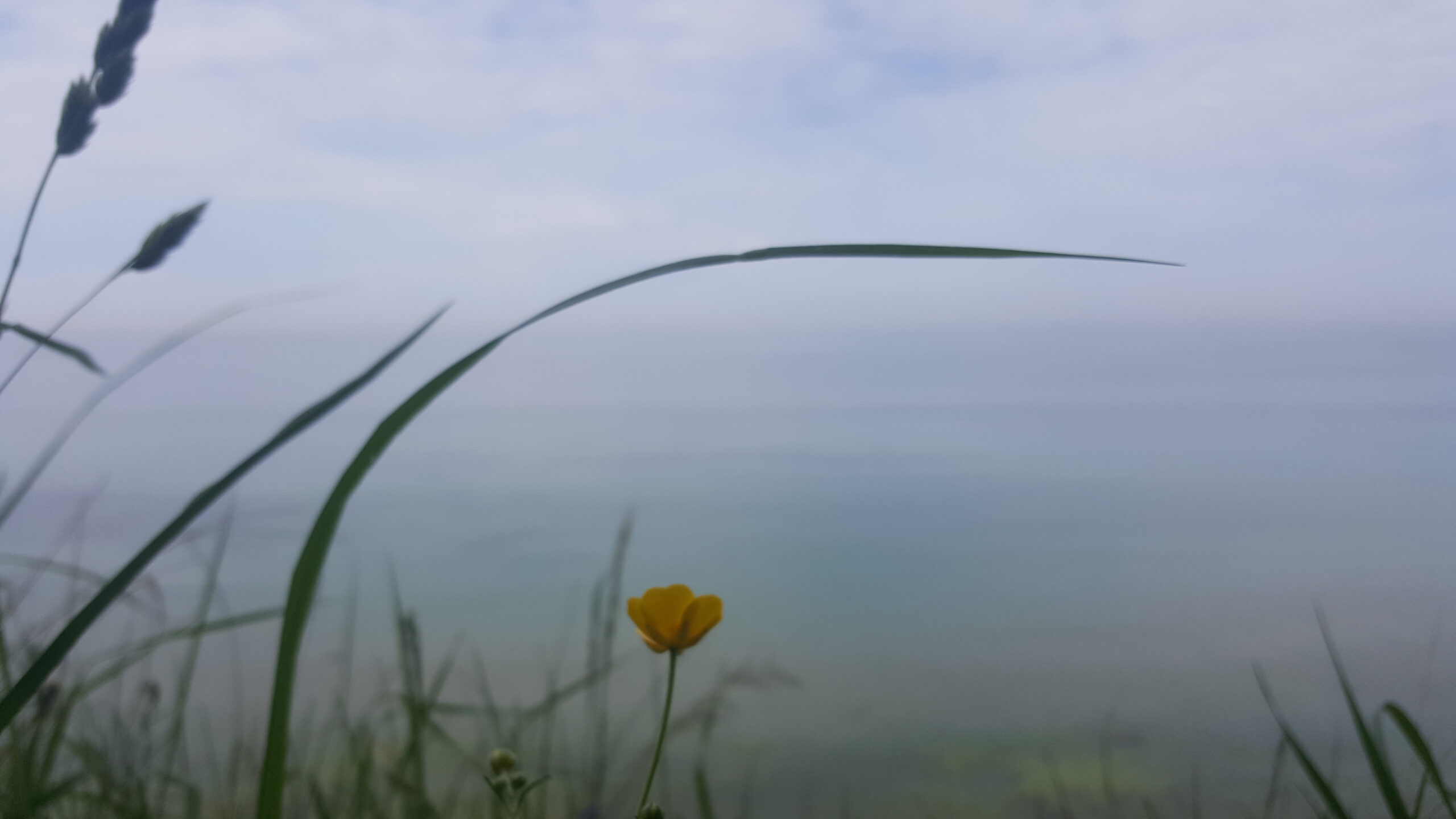 © Julia Schiller